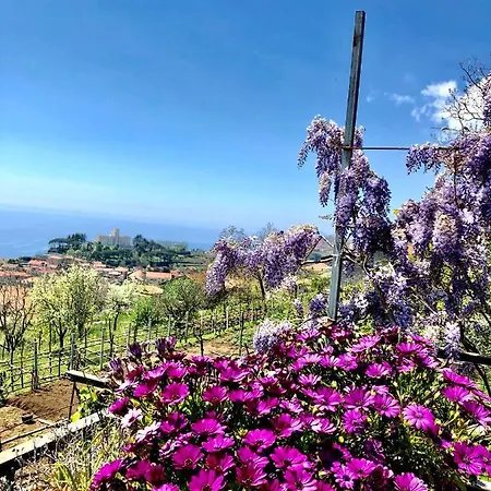 La Casa Dei Nonni